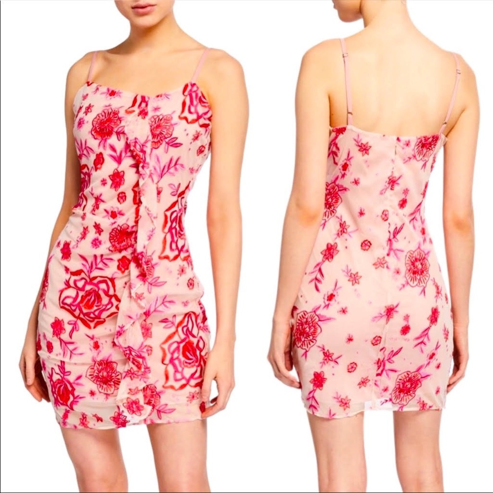 Parker Floral Mesh Embroidered Lace Cherry Mini Dress XS